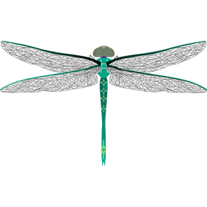 Dragonfly PNG-26279